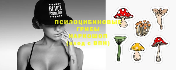 экстази Каменка