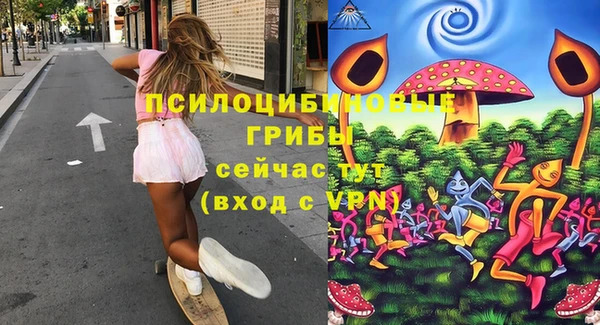экстази Каменка