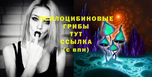 экстази Каменка