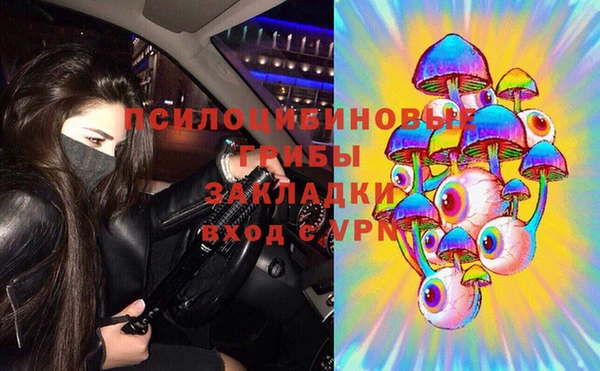 экстази Каменка