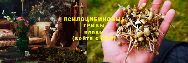 экстази Каменка
