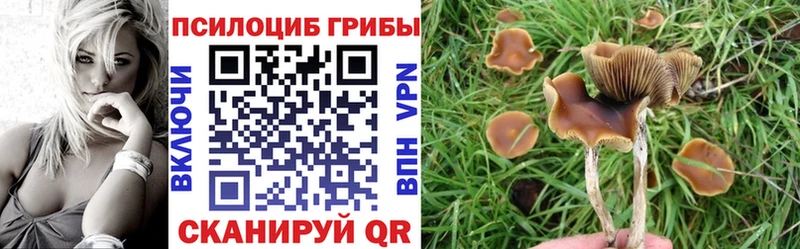 Псилоцибиновые грибы MAGIC MUSHROOMS Ижевск